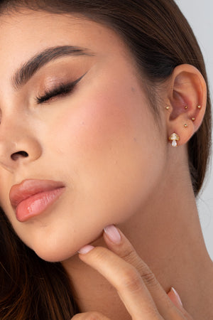 Aretes mushroom