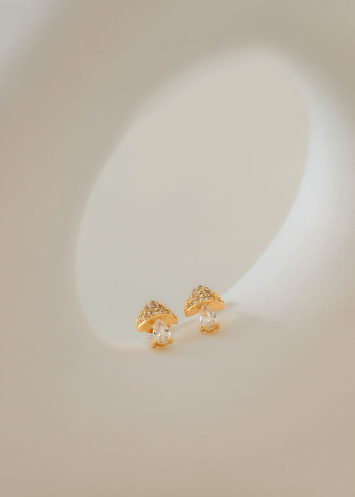 Aretes mushroom